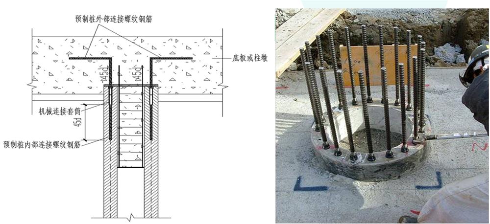 先张法预应力混凝土抗拔管桩（抱箍式连接）(图5)